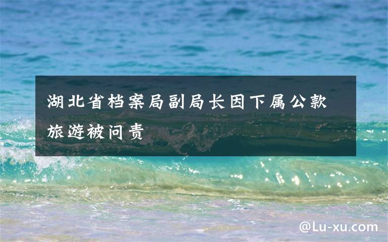 湖北省档案局副局长因下属公款旅游被问责文章配图