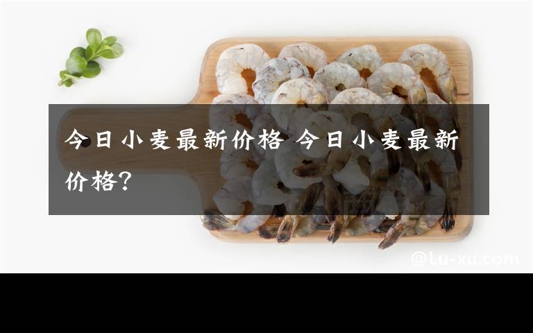 今日小麦最新价格 今日小麦最新价格？文章配图