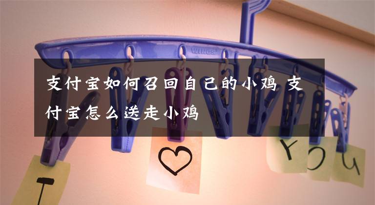 支付宝如何召回自己的小鸡 支付宝怎么送走小鸡文章配图