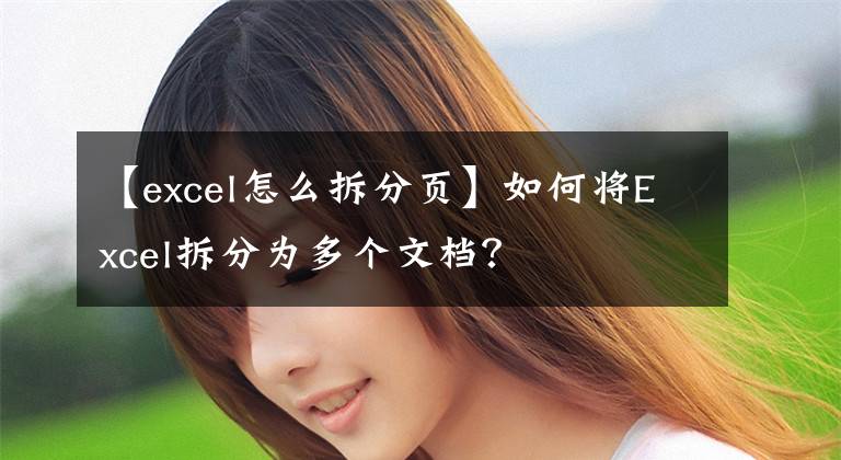 【excel怎么拆分页】如何将Excel拆分为多个文档？文章配图