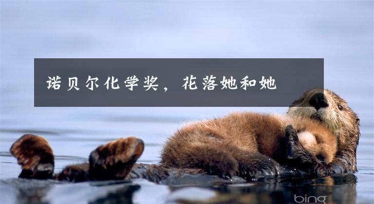 诺贝尔化学奖，花落她和她