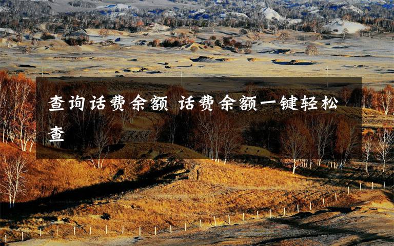 查询话费余额 话费余额一键轻松查文章配图