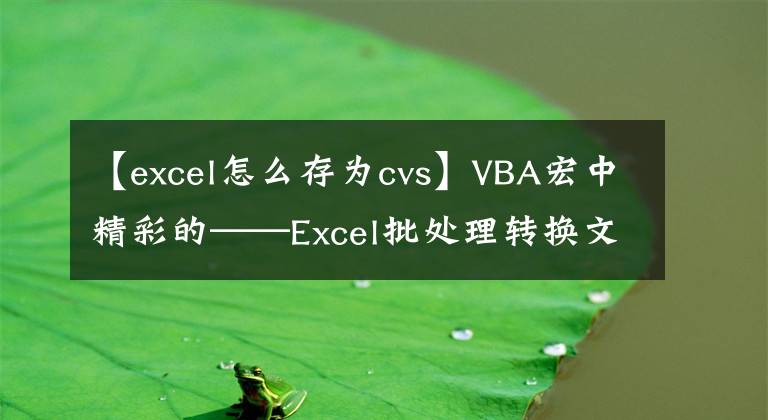 【excel怎么存为cvs】VBA宏中精彩的——Excel批处理转换文件格式文章配图