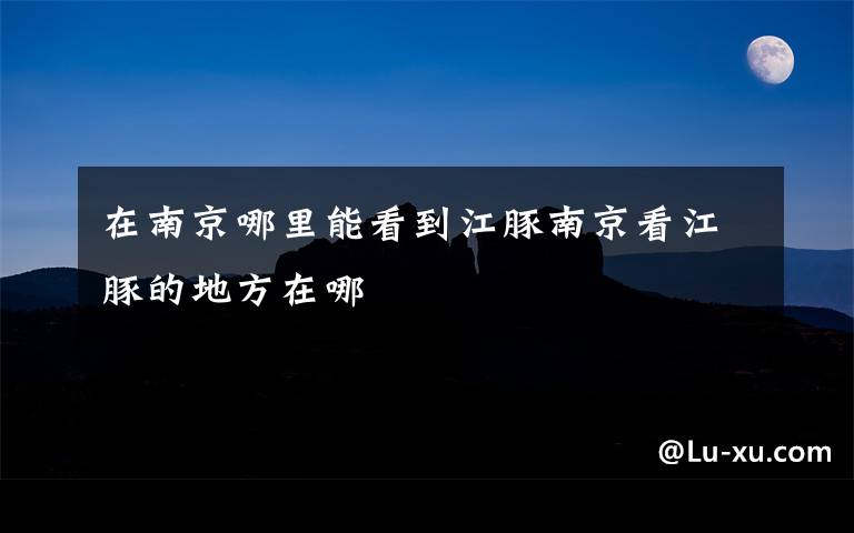 在南京哪里能看到江豚南京看江豚的地方在哪文章配图