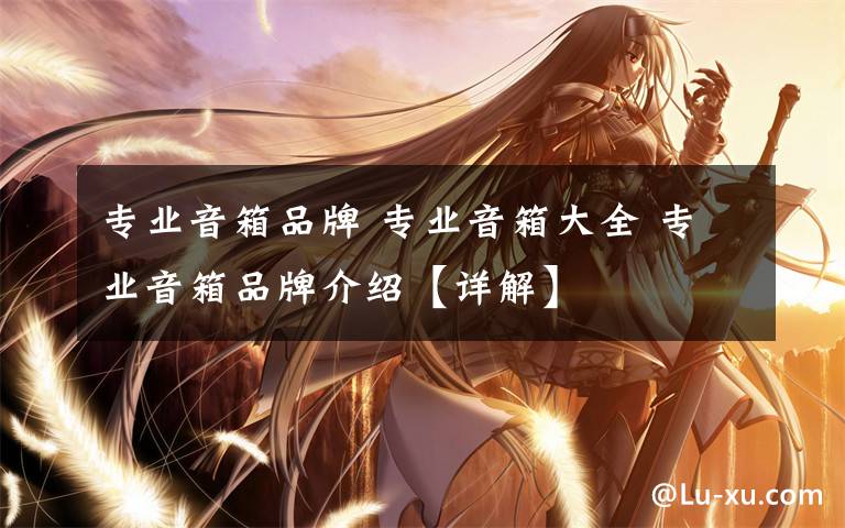 专业音箱品牌 专业音箱大全 专业音箱品牌介绍【详解】文章配图