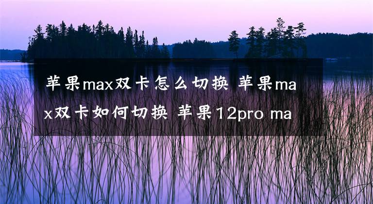 苹果max双卡怎么切换 苹果max双卡如何切换 苹果12pro max主副卡怎么调换