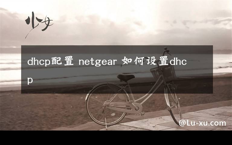 dhcp配置 netgear 如何设置dhcp文章配图