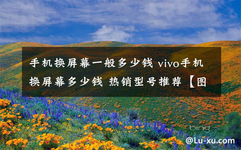 手机换屏幕一般多少钱 vivo手机换屏幕多少钱 热销型号推荐【图文】文章配图