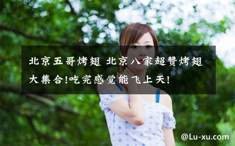 北京五哥烤翅 北京八家超赞烤翅大集合!吃完感觉能飞上天!文章配图