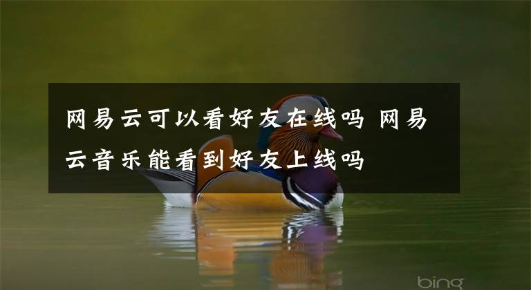 网易云可以看好友在线吗 网易云音乐能看到好友上线吗文章配图