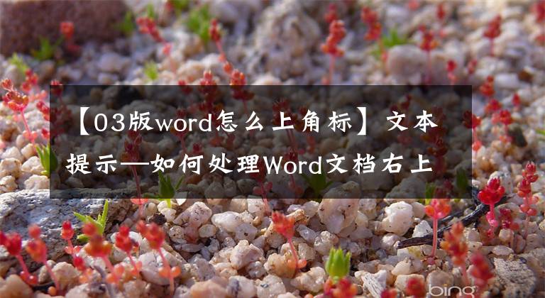 【03版word怎么上角标】文本提示—如何处理Word文档右上角的标注？文章配图