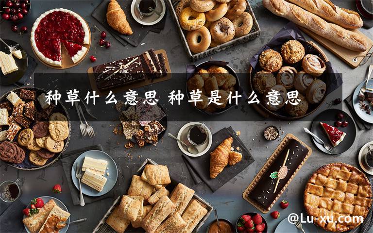 种草什么意思 种草是什么意思文章配图