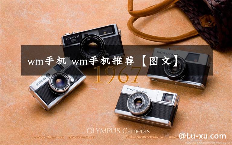wm手机 wm手机推荐【图文】文章配图