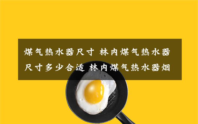 煤气热水器尺寸 林内煤气热水器尺寸多少合适 林内煤气热水器烟道尺寸介绍文章配图