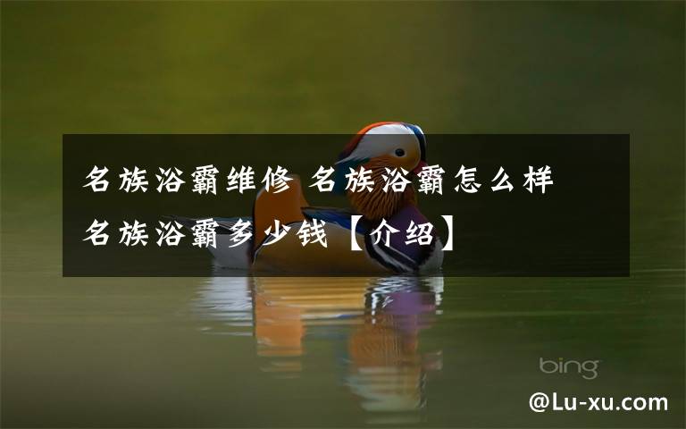名族浴霸维修 名族浴霸怎么样 名族浴霸多少钱【介绍】文章配图