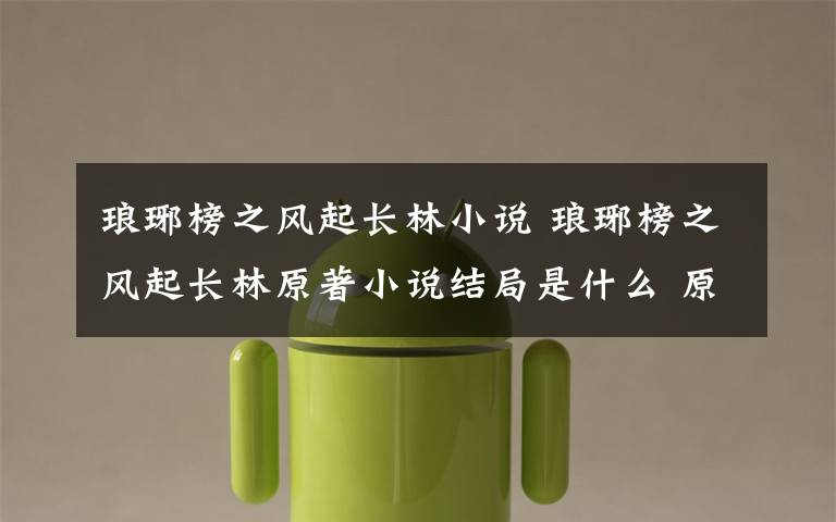 琅琊榜之风起长林小说 琅琊榜之风起长林原著小说结局是什么 原著小说结局原文介绍文章配图