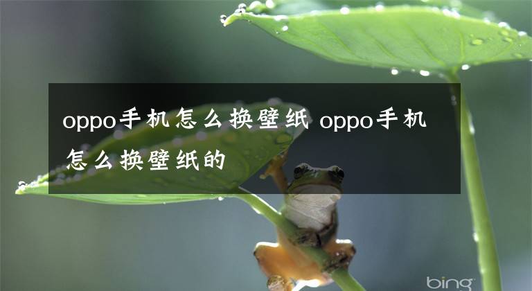 oppo手机怎么换壁纸 oppo手机怎么换壁纸的文章配图