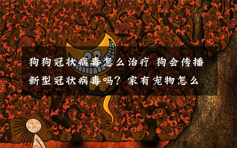 狗狗冠状病毒怎么治疗 狗会传播新型冠状病毒吗？家有宠物怎么办，听专家释疑文章配图