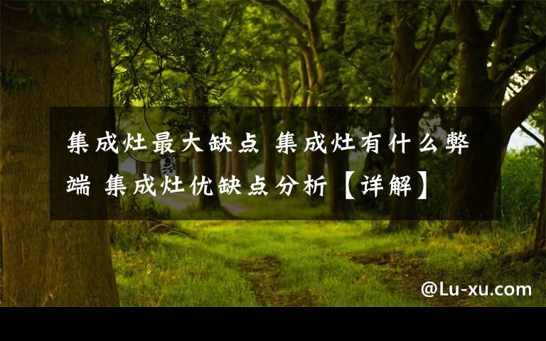 集成灶最大缺点 集成灶有什么弊端 集成灶优缺点分析【详解】文章配图