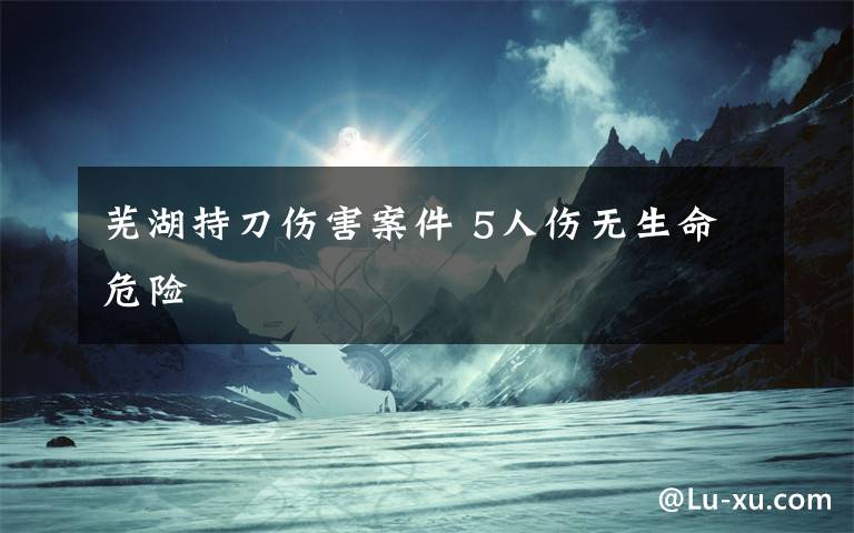 芜湖持刀伤害案件 5人伤无生命危险文章配图