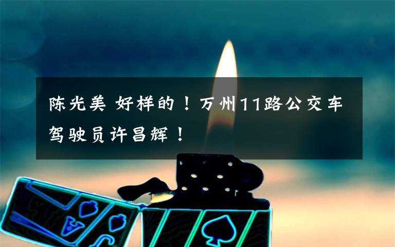 陈光美 好样的！万州11路公交车驾驶员许昌辉！文章配图