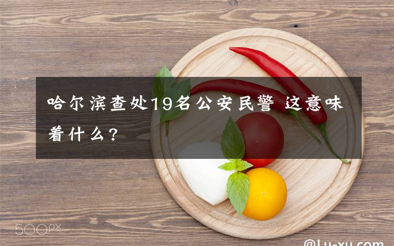 哈尔滨查处19名公安民警 这意味着什么?文章配图
