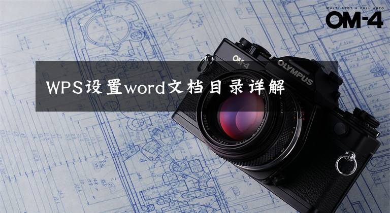 WPS设置word文档目录详解文章配图