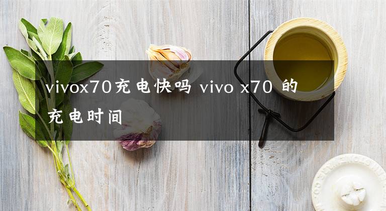 vivox70充电快吗 vivo x70 的充电时间文章配图