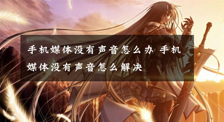 手机媒体没有声音怎么办 手机媒体没有声音怎么解决文章配图