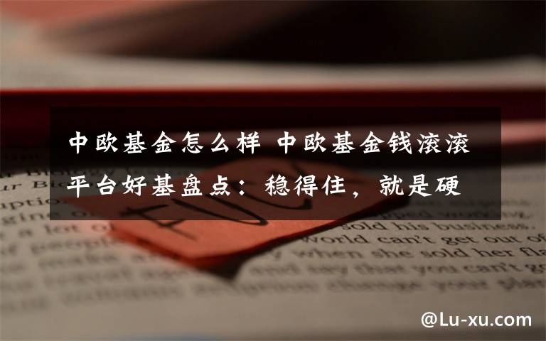 中欧基金怎么样 中欧基金钱滚滚平台好基盘点：稳得住，就是硬道理文章配图
