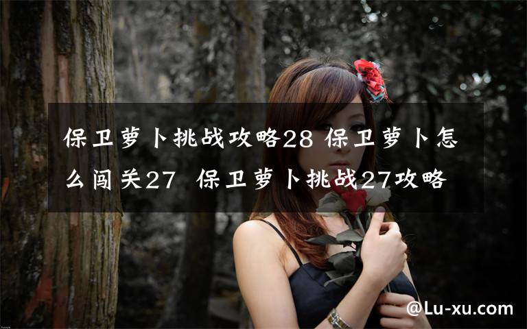 保卫萝卜挑战攻略28 保卫萝卜怎么闯关27  保卫萝卜挑战27攻略【教程】文章配图