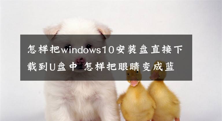 怎样把windows10安装盘直接下载到U盘中 怎样把眼睛变成蓝色文章配图