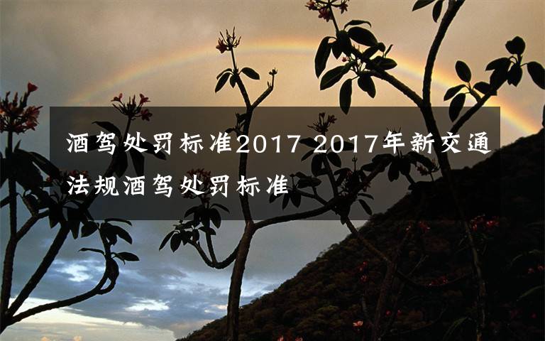 酒驾处罚标准2017 2017年新交通法规酒驾处罚标准