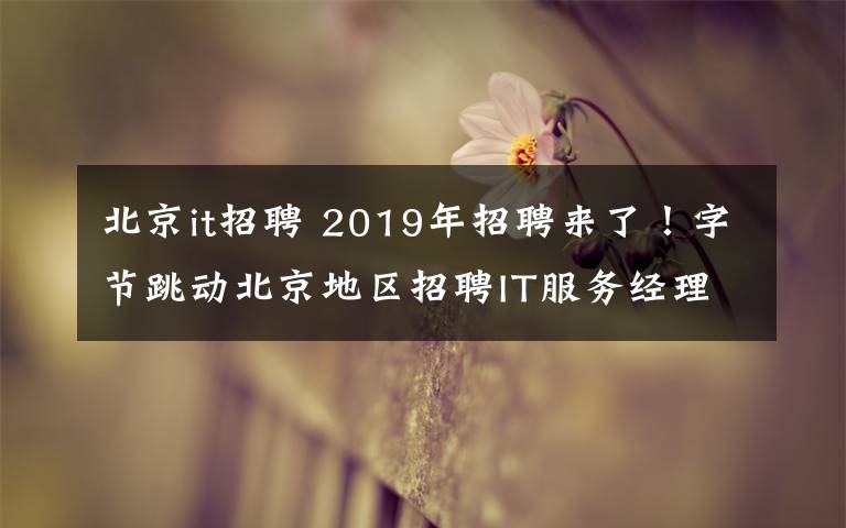 北京it招聘 2019年招聘来了！字节跳动北京地区招聘IT服务经理！文章配图