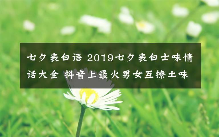 七夕表白语 2019七夕表白士味情话大全 抖音上最火男女互撩土味表白语