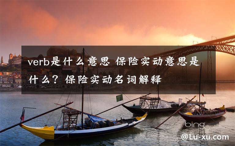 verb是什么意思 保险实动意思是什么？保险实动名词解释文章配图