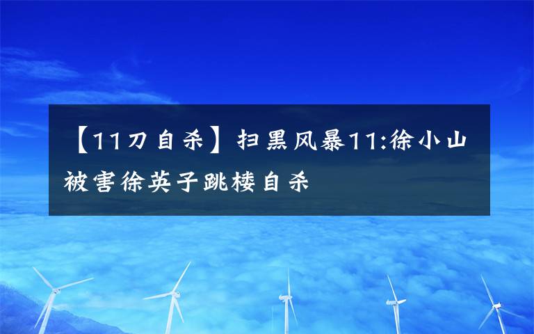 【11刀自杀】扫黑风暴11:徐小山被害徐英子跳楼自杀文章配图