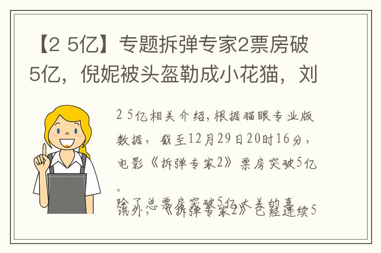 【2 5亿】专题拆弹专家2票房破5亿，倪妮被头盔勒成小花猫，刘德华熟练安假肢