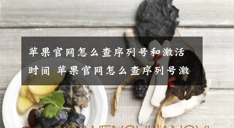 苹果官网怎么查序列号和激活时间 苹果官网怎么查序列号激活时间文章配图