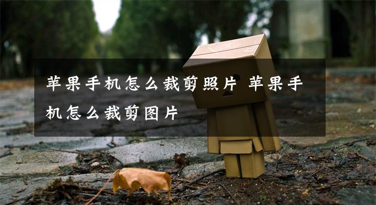 苹果手机怎么裁剪照片 苹果手机怎么裁剪图片文章配图
