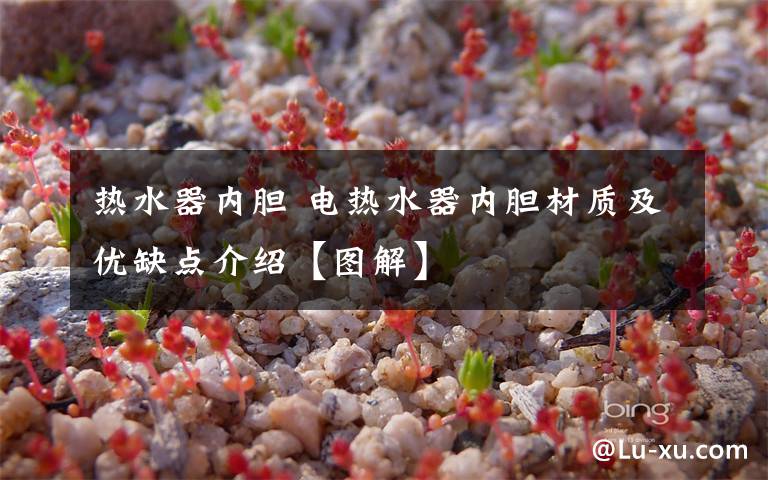 热水器内胆 电热水器内胆材质及优缺点介绍【图解】文章配图