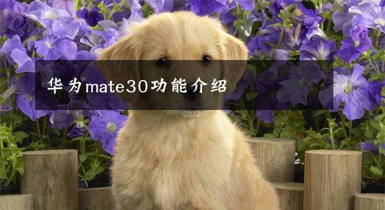 华为mate30功能介绍