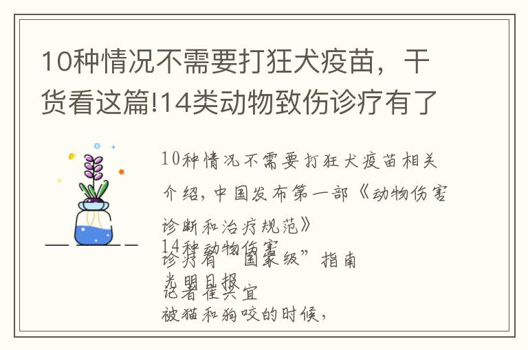 10种情况不需要打狂犬疫苗，干货看这篇!14类动物致伤诊疗有了“国家级”指南