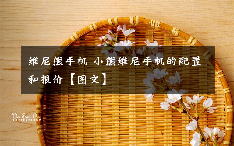 维尼熊手机 小熊维尼手机的配置和报价【图文】文章配图