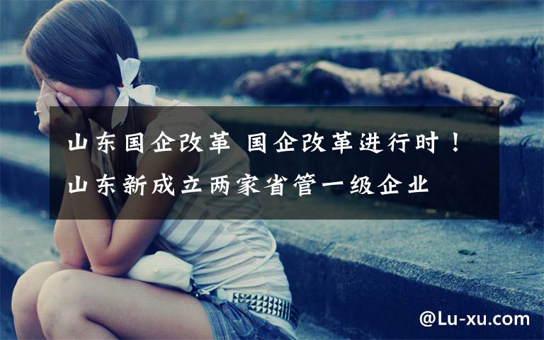 山东国企改革 国企改革进行时！山东新成立两家省管一级企业文章配图