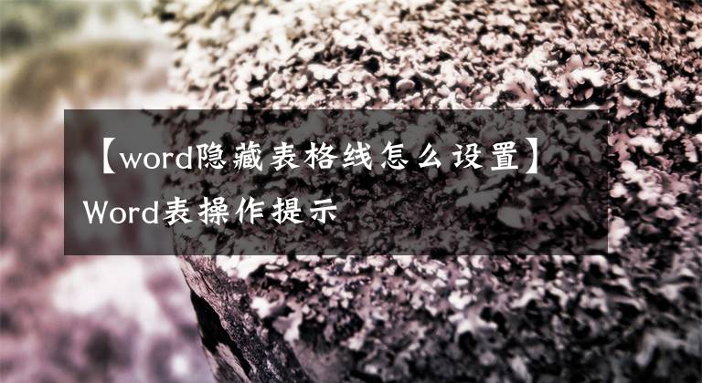 【word隐藏表格线怎么设置】Word表操作提示文章配图