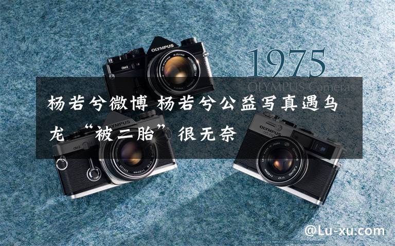 杨若兮微博 杨若兮公益写真遇乌龙 “被二胎”很无奈文章配图