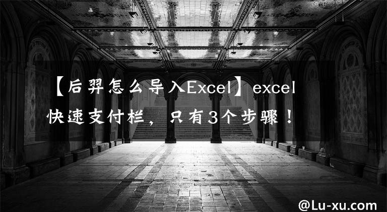 【后羿怎么导入Excel】excel快速支付栏，只有3个步骤！文章配图