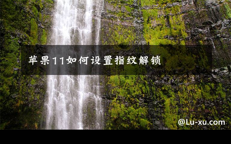 苹果11如何设置指纹解锁文章配图