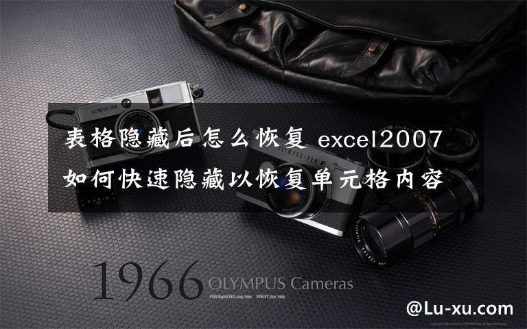 表格隐藏后怎么恢复 excel2007如何快速隐藏以恢复单元格内容文章配图